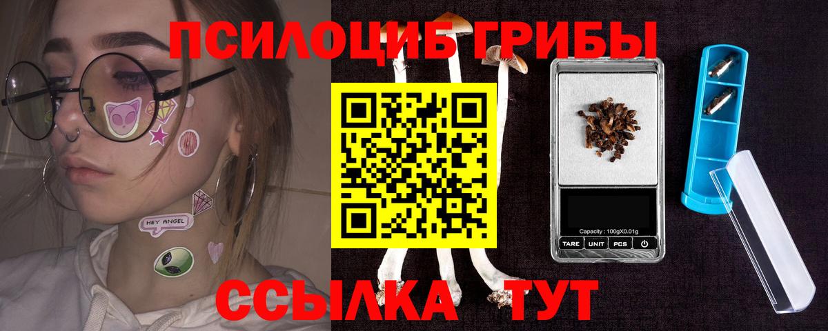 Торжок  Галлюциногенные грибы Psilocybine cubensis  Вход с VPN 