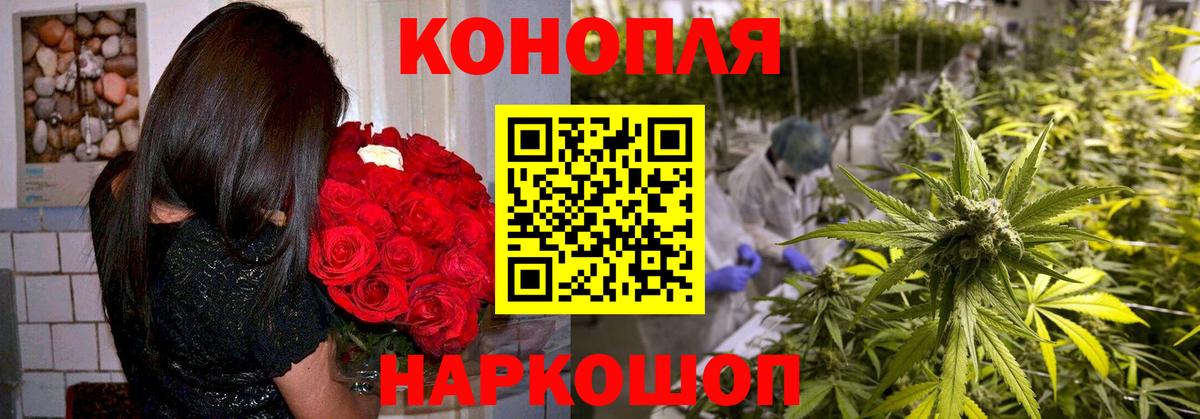 Бошки марихуана марихуана  Бошки марихуана Ganja  Торжок  Вход с VPN  Шишки марихуана AK-47 